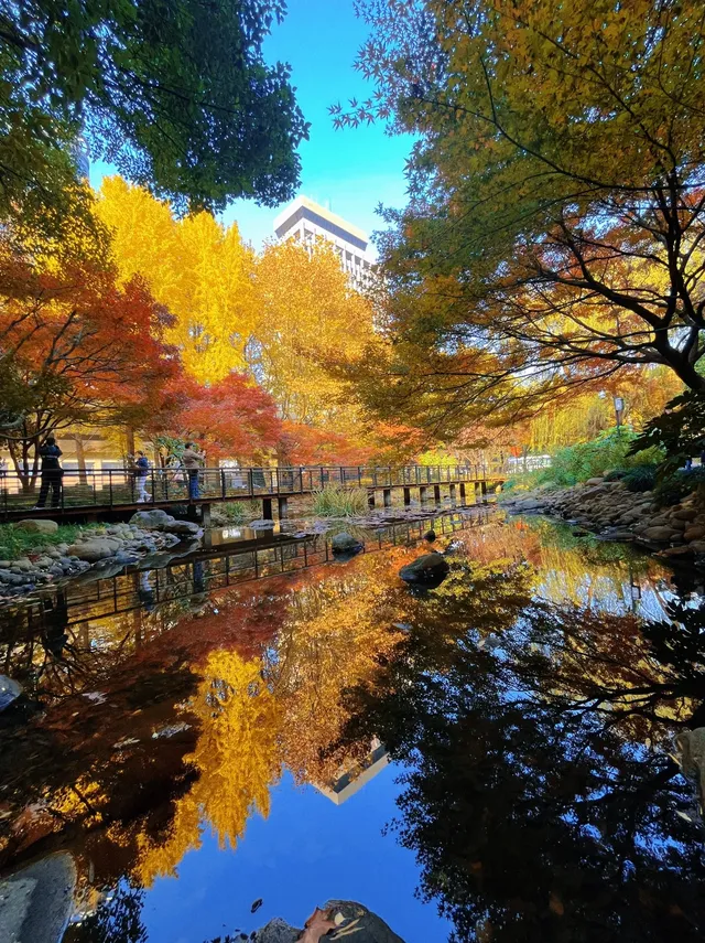 不是在京都，而是在魔都上海市中心