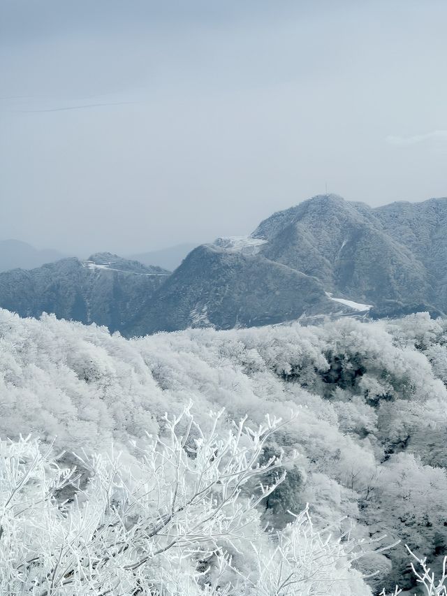 光霧山的冬天真的美哭我了！（附詳細攻略