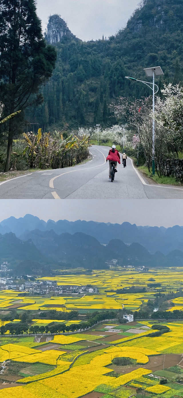 威武旅遊攻略