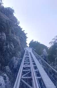 江蘇無錫宜興竹海—歲末聽雪落，浮世有清歡