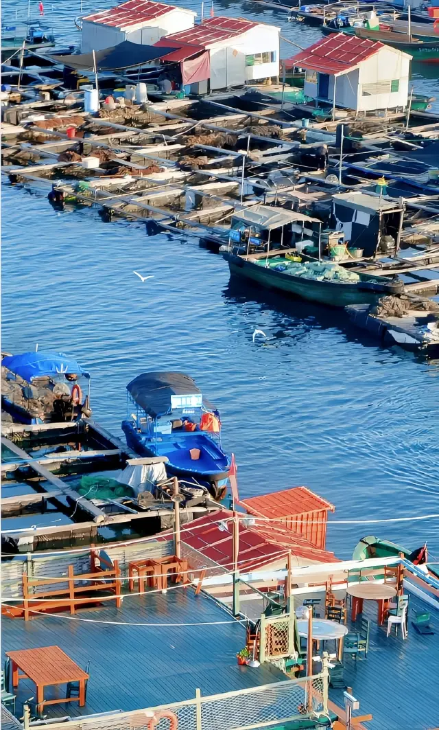 海南陵水｜海を見に来て、海を追いかけてください〜