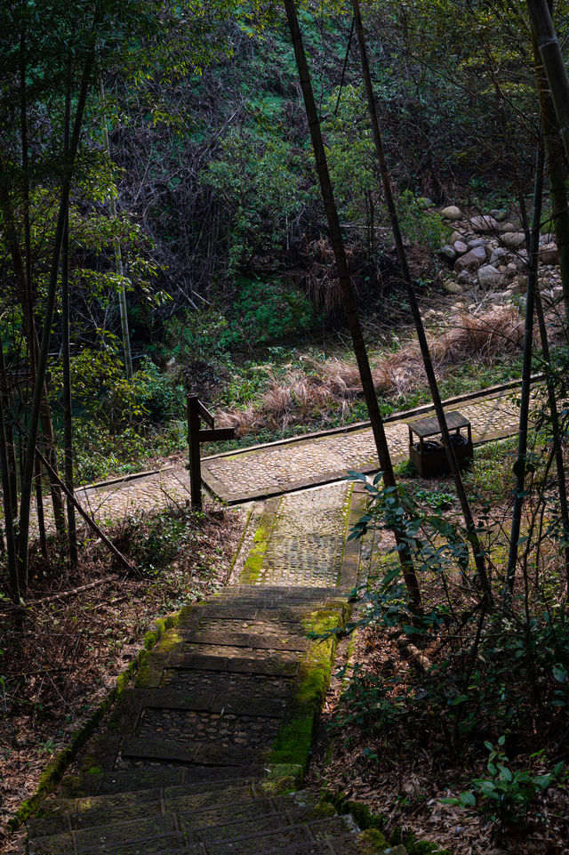 《登峰造極，龍虎山道教奇境》