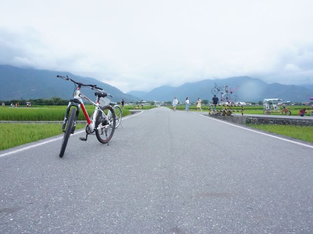台灣必去景點伯朗大道風吹麥浪踏車而行悠閒舒適