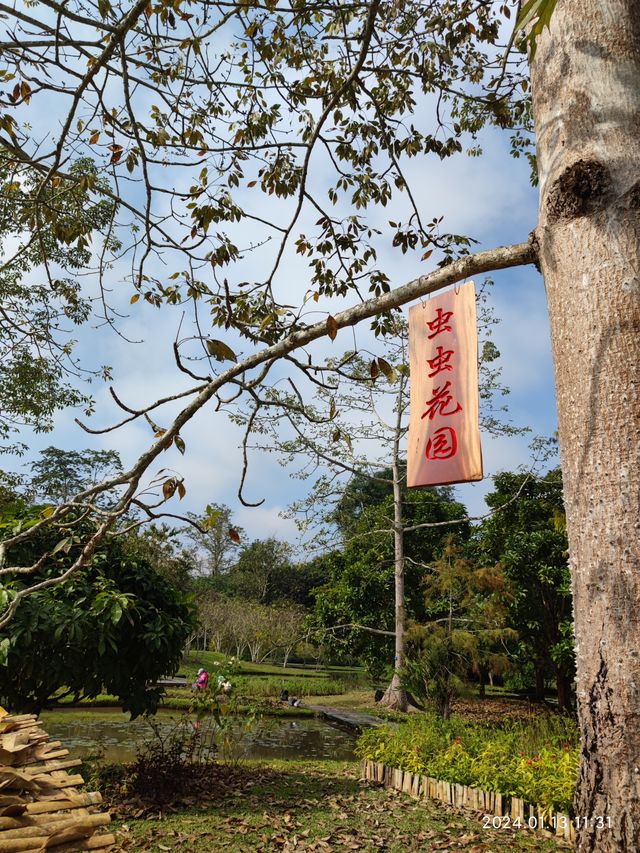 西雙版納中科院植物園，告莊出發攻略