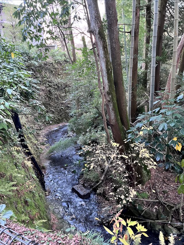 箱根二日遊~和媽媽的日本之旅