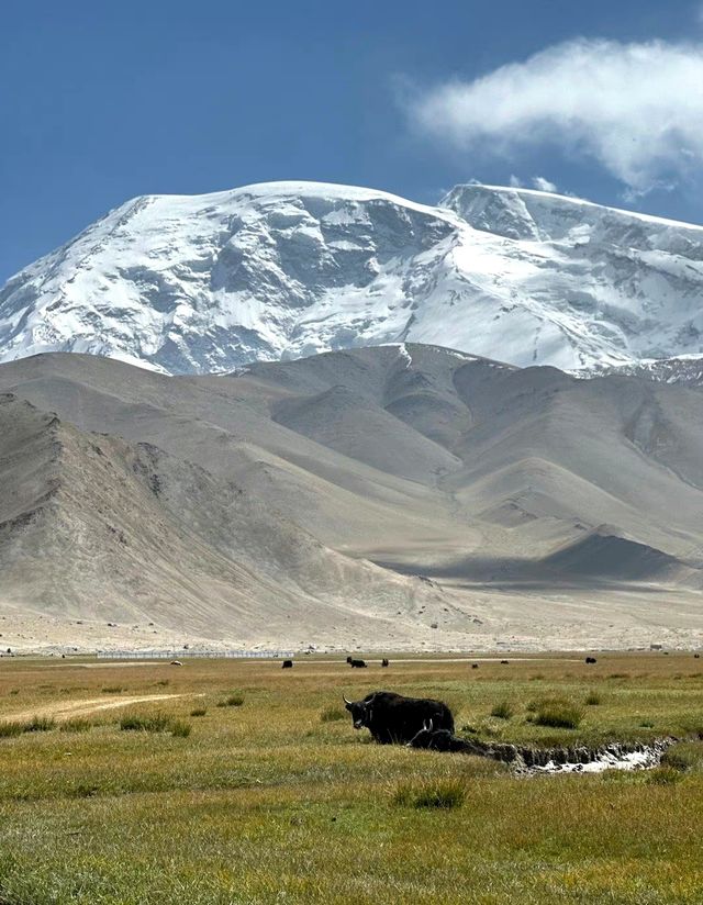 探秘帕米爾高原：壯麗景點盡覽，震撼心靈的旅程！