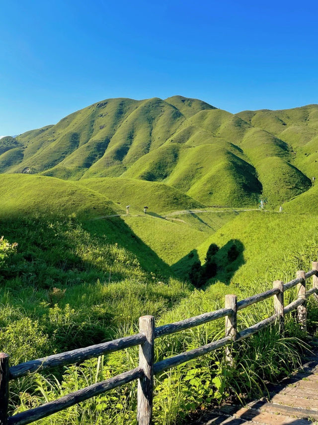 福建版武功山！很少人知道的天然草場