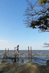 發現上海｜青浦半日遊，根本玩不夠好嘛