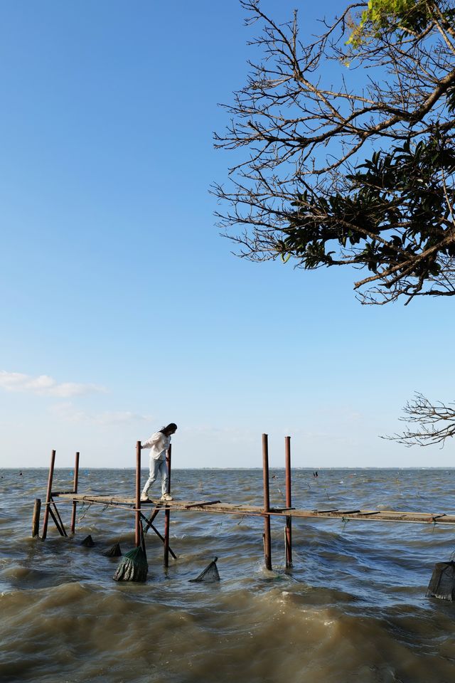 發現上海｜青浦半日遊，根本玩不夠好嘛