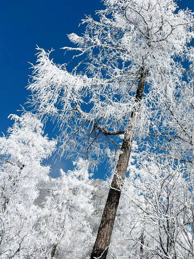 看雪不一定要去哈爾濱，畢棚溝平價看雪太香了