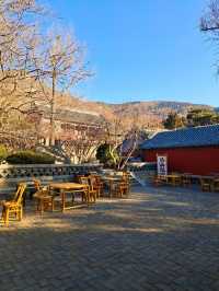 泰安普照寺（泰山腳下六朝古剎）