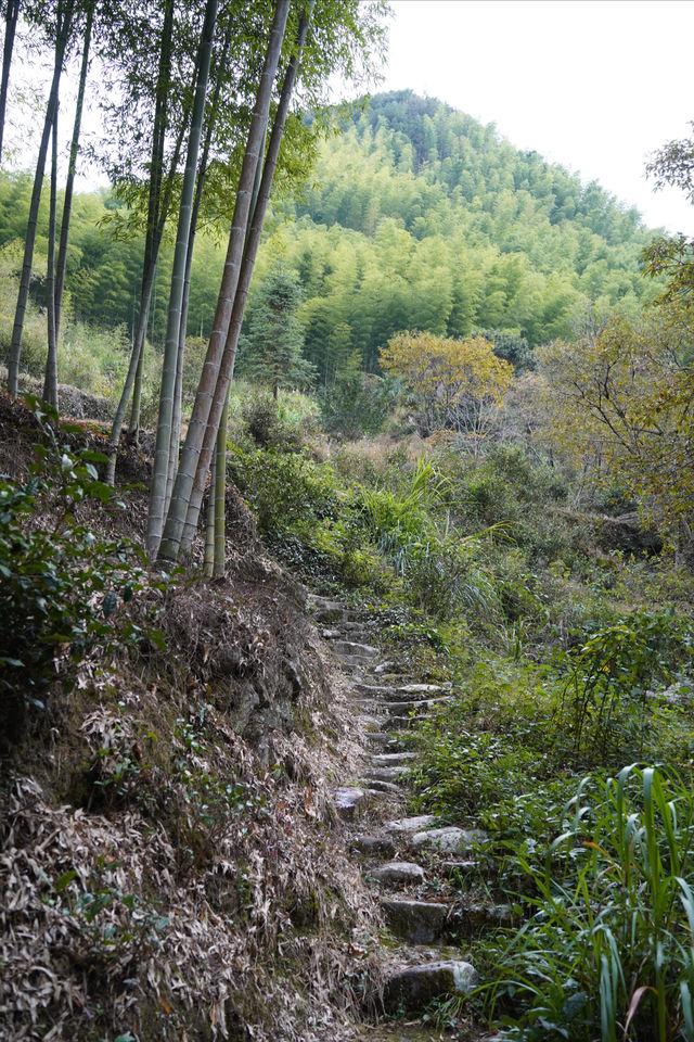 衢州日夕山中民宿｜在滿眼青山的時光裡得到治癒