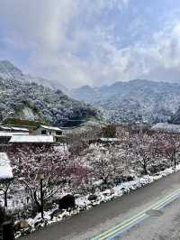 江西葛仙｜年味與仙氣加持，春節旅行目的地+1