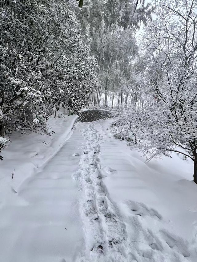 江西葛仙｜年味與仙氣加持，春節旅行目的地+1