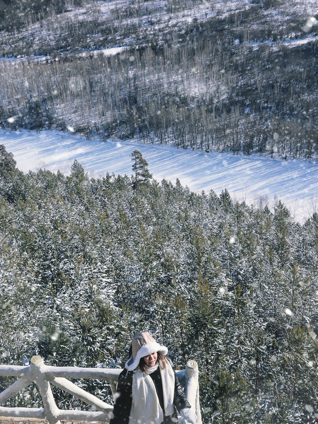 踏雪尋北漠河3日遊（附詳細路線）