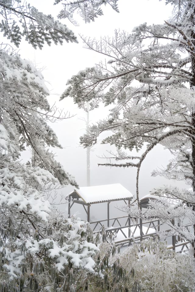 瓦屋山！我願稱之為川內1天往返玩雪天花板！