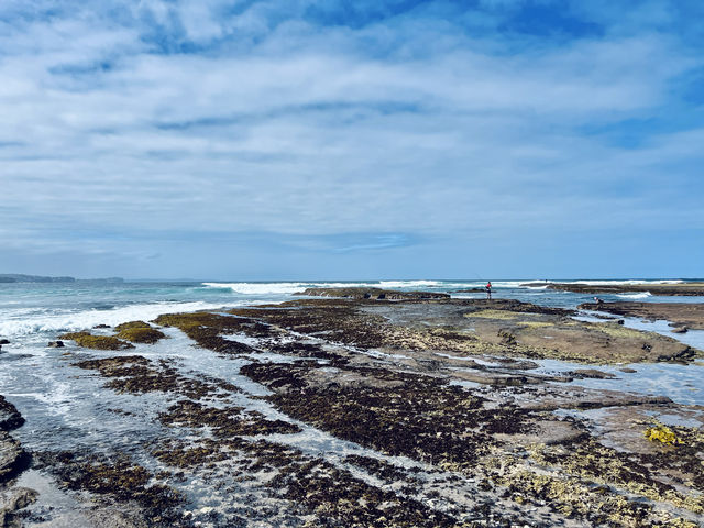 悉尼Collaroy海灘半日遊