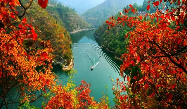Qingtian River Scenic Area