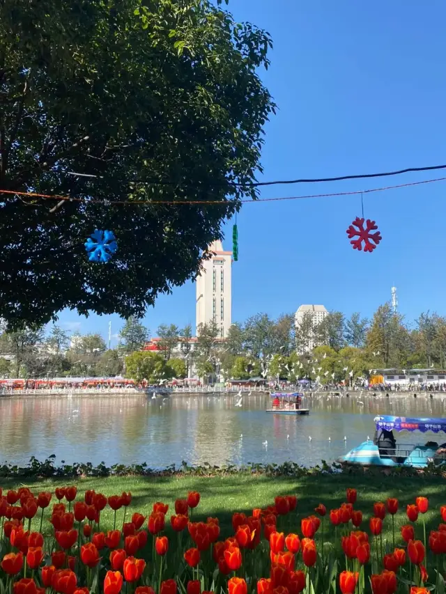 ユンナン省昆明市の翠湖公園