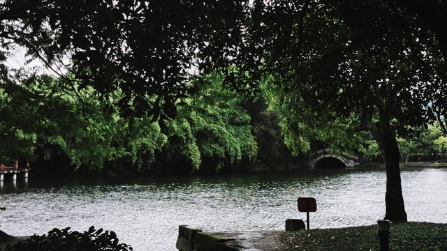 在雨中尋找棠湖