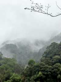 雲霧繚繞北雁蕩   仙俠意趣撲面來