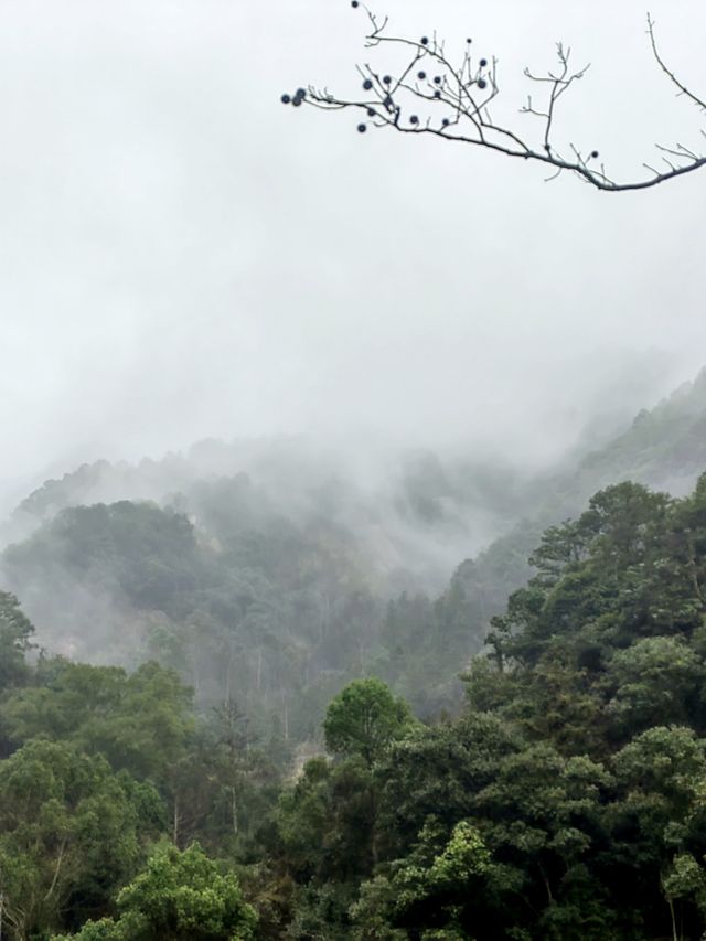 雲霧繚繞北雁蕩   仙俠意趣撲面來