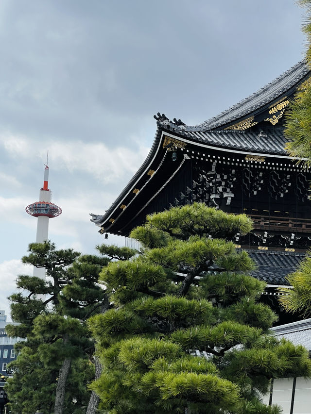 走進世界文化遺產東本願寺