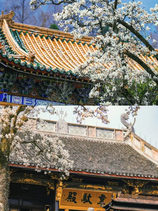 浙江杭州——禅源寺