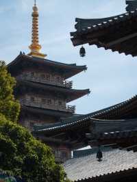 夢回大唐上海必打卡的晚唐風古寺|寶山寺