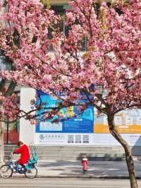 成都絕美公園，拍照絕美小江南，走到這裡都心曠神怡