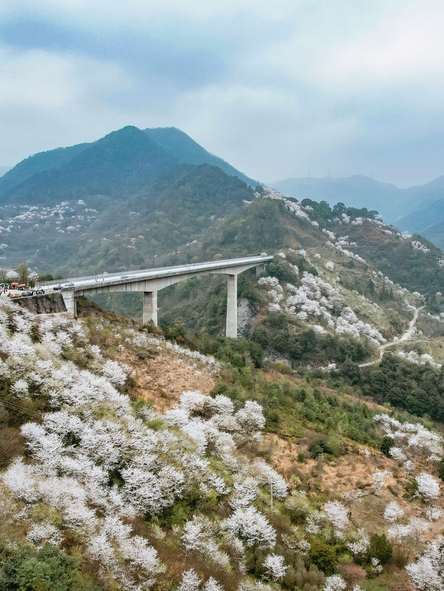 寧波文旅局你不宣傳這個地方你糊塗啊