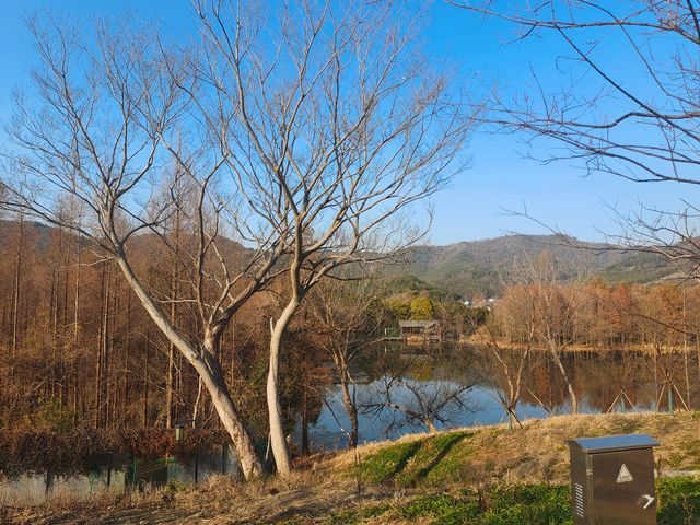 寧波慈湖公園