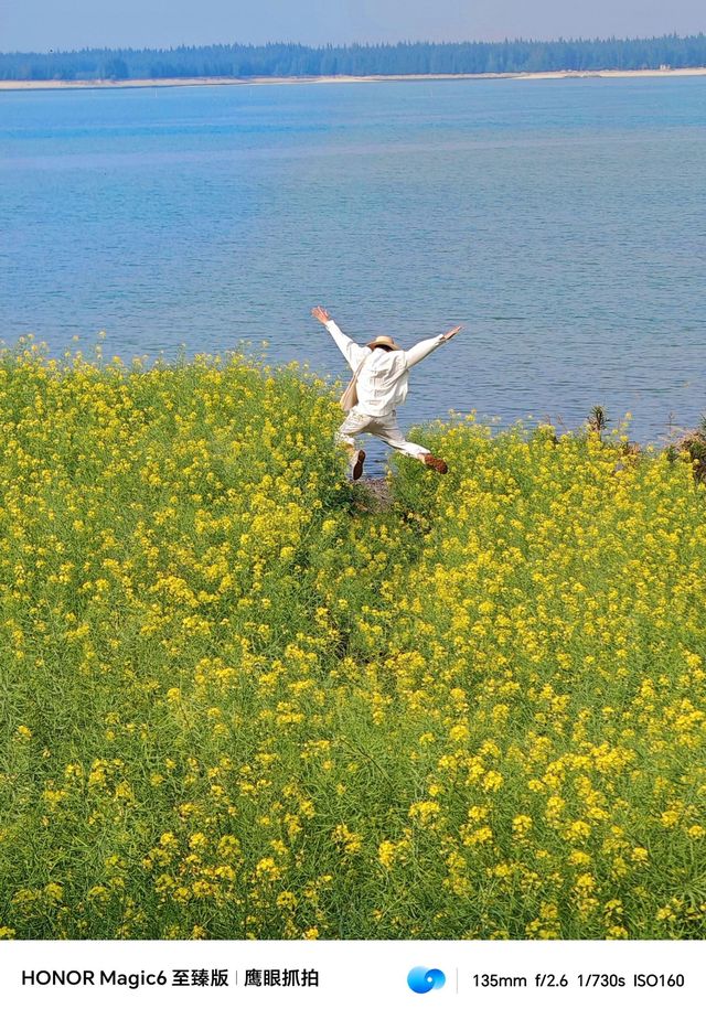 福建最美的油菜花海，被我發現了