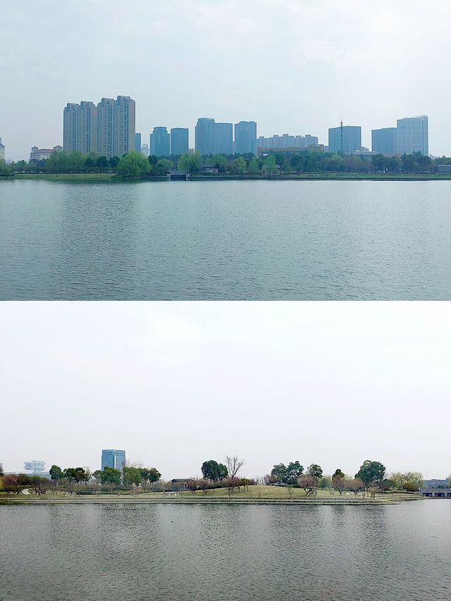 嘉興秀湖公園，水清岸綠，魚翔淺底，水鳥悠游