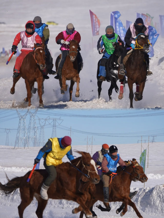 白雪駿馬之旅～冬季的錫林郭勒