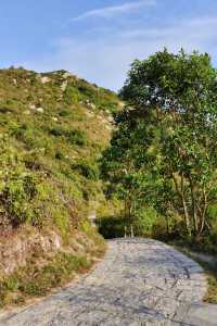 十年如一日的慢生活漁村|香港南丫島之旅