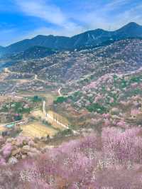 門頭溝醜兒嶺生態觀光園，去了才知道什麼叫美！