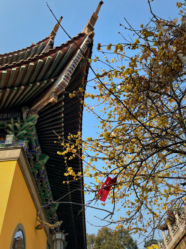 金山寺環抱著山峰，四面天空開闊明朗