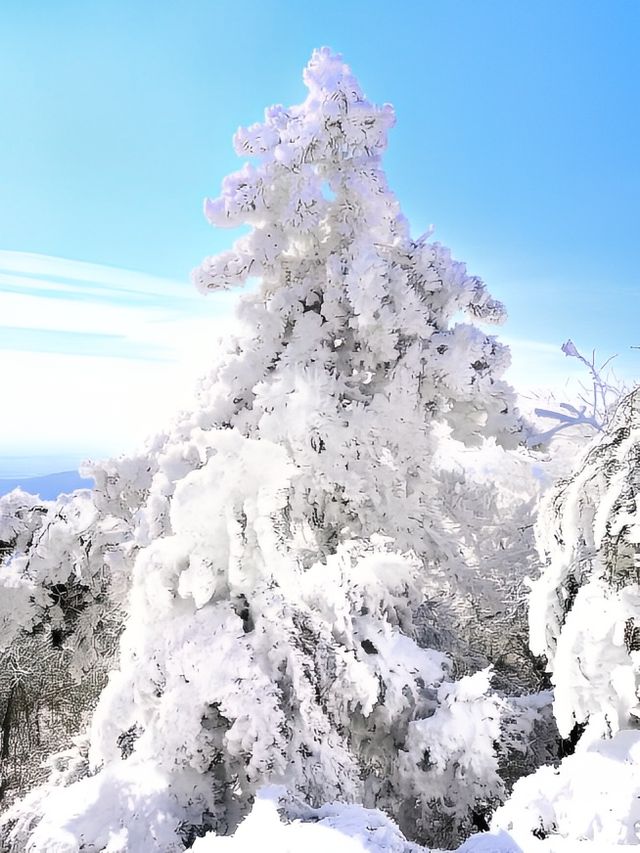 聖雪寒風下的玉女峰也太美了，一定要來看看