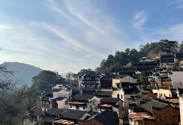 三月賞花去篁嶺，萬畝油菜花海