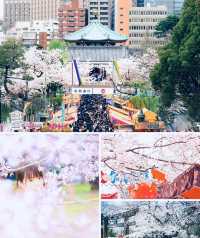 東京上野公園是日本第一座公園內的粉色童話