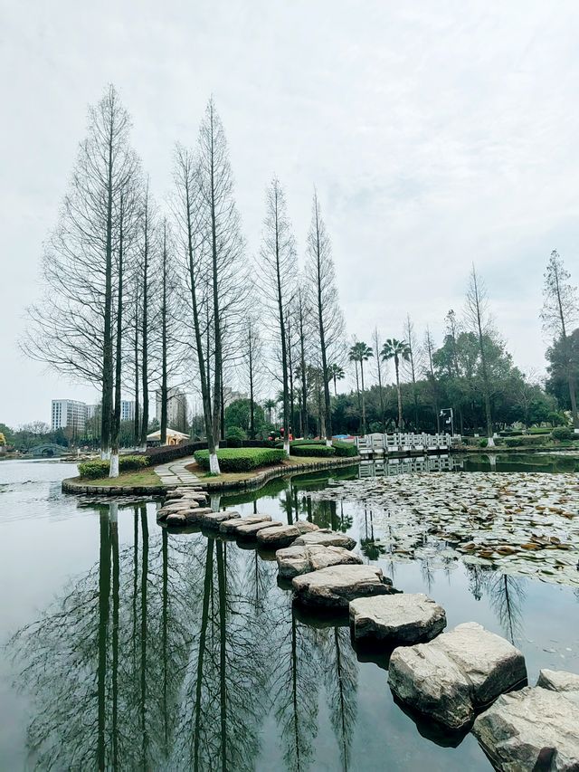 溫州河泥蕩文化公園，獨特的水鄉風情