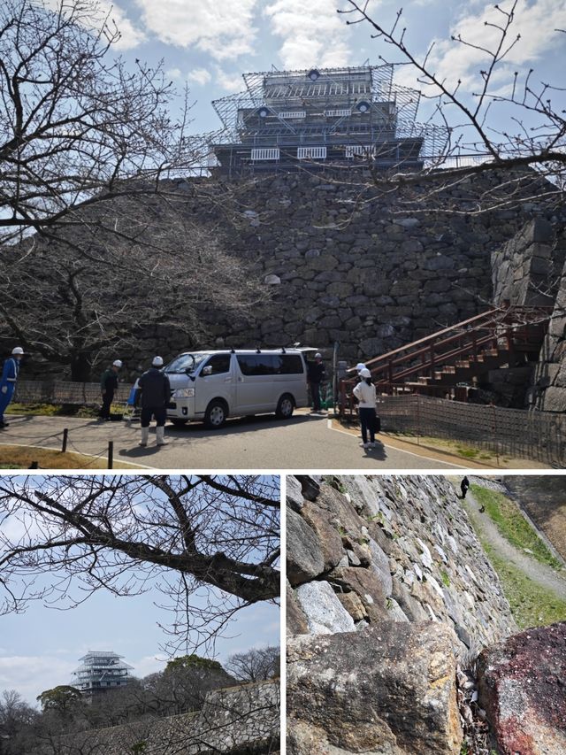 福岡城的天守閣指日可待