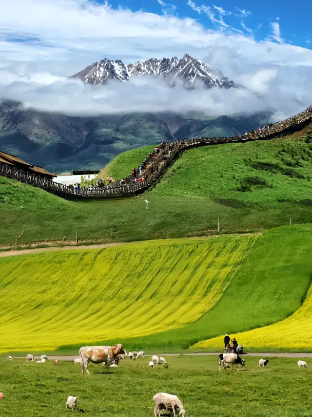 Qilian Zhuoer Mountain | A must-visit! The 'Little Switzerland' lives up to its name!