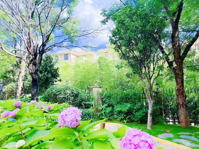 休息一天打卡玫瑰園，沉醉在玫瑰園的浪漫之旅