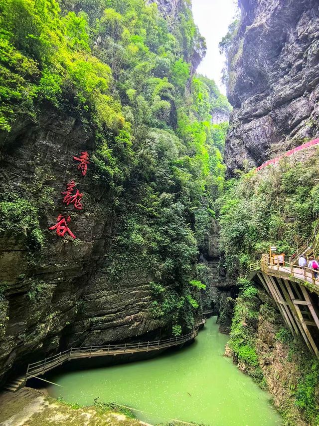 重慶｜你玩得可真花啊！探幽青龍谷+ 筏游阿依河游玩攻略