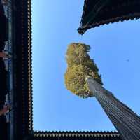 「北京恭王府，你不可錯過的傳奇故事」