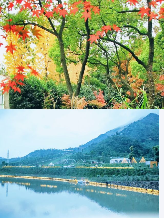 誰懂嶺南紅葉世界天空之境，世界的天空之境日落簡直太美啦！！