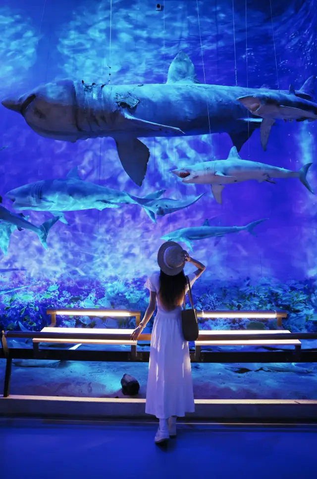 This is not an aquarium! It's the Guangdong Provincial Museum! A perfect place to escape the heat and the rain