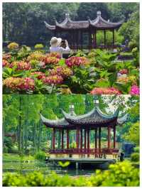 五月賞花打卡拍照的天花板--武漢植物園